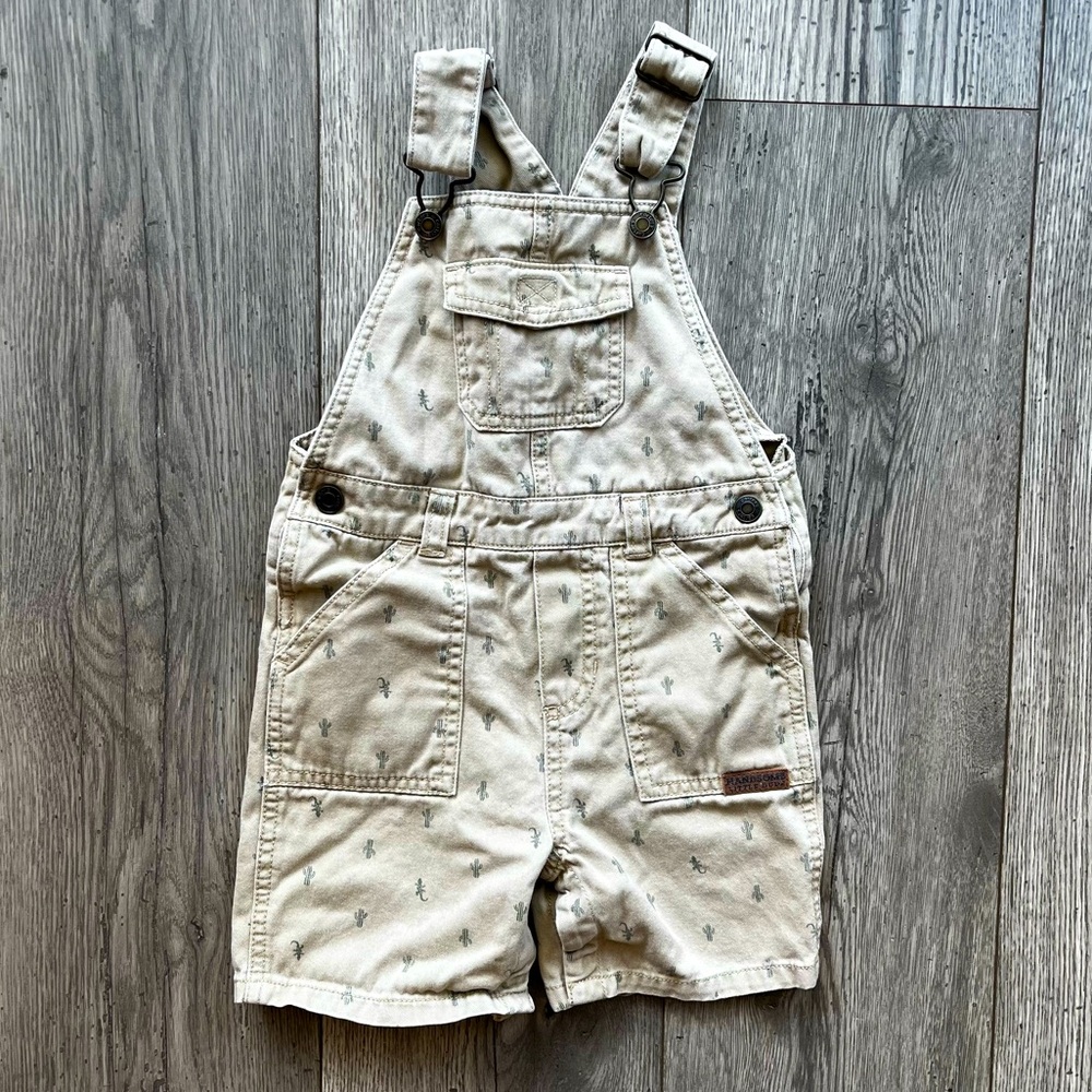 Carterโs Toddler Boy โHandsome Little Manโ Overalls Cactus Iguana 24 Month